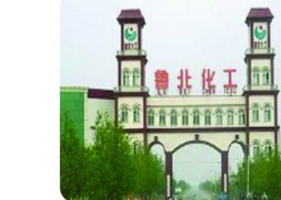 山东滨州鲁北化工集团画册配图